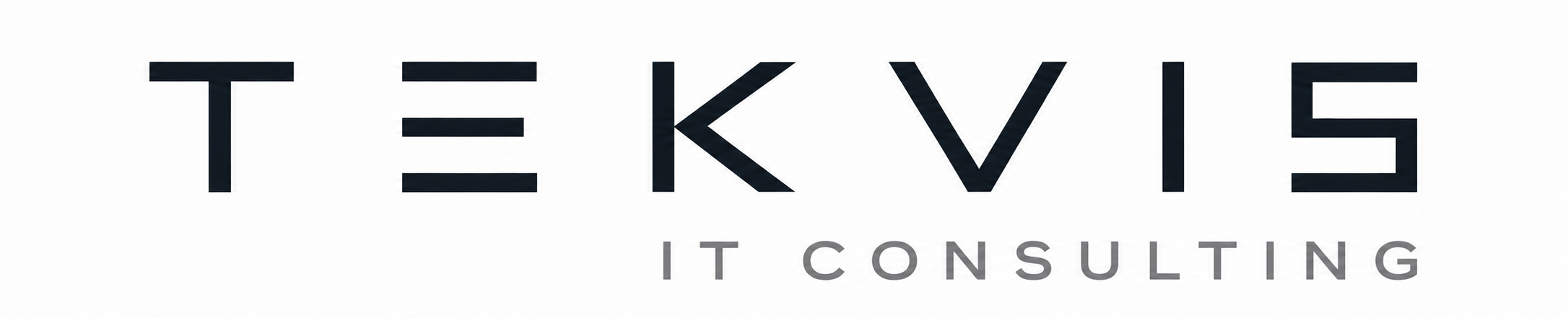 TekVis IT Consulting